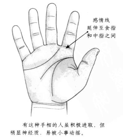 感情线弯曲延伸，到达食指和中指的下方部位