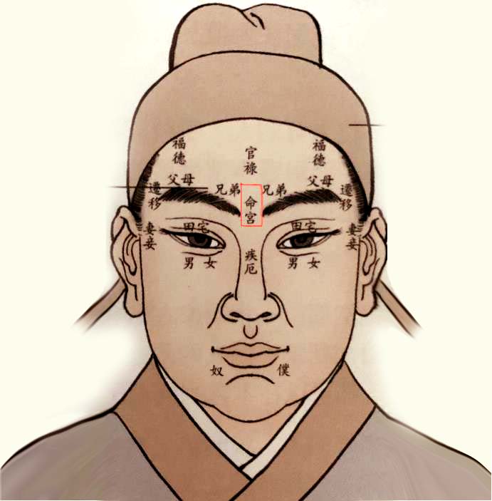 面相十二宫