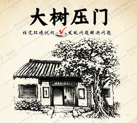 大树压门