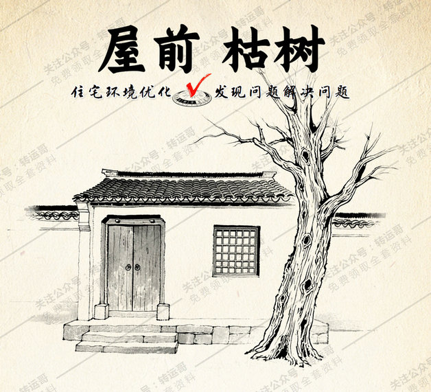 屋前有枯树